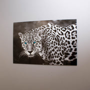 Prowling Leopard Tempered Glass Wall Art