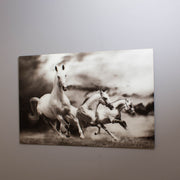 A tempered glass wall art featuring a high-resolution print of wild horses in motion.