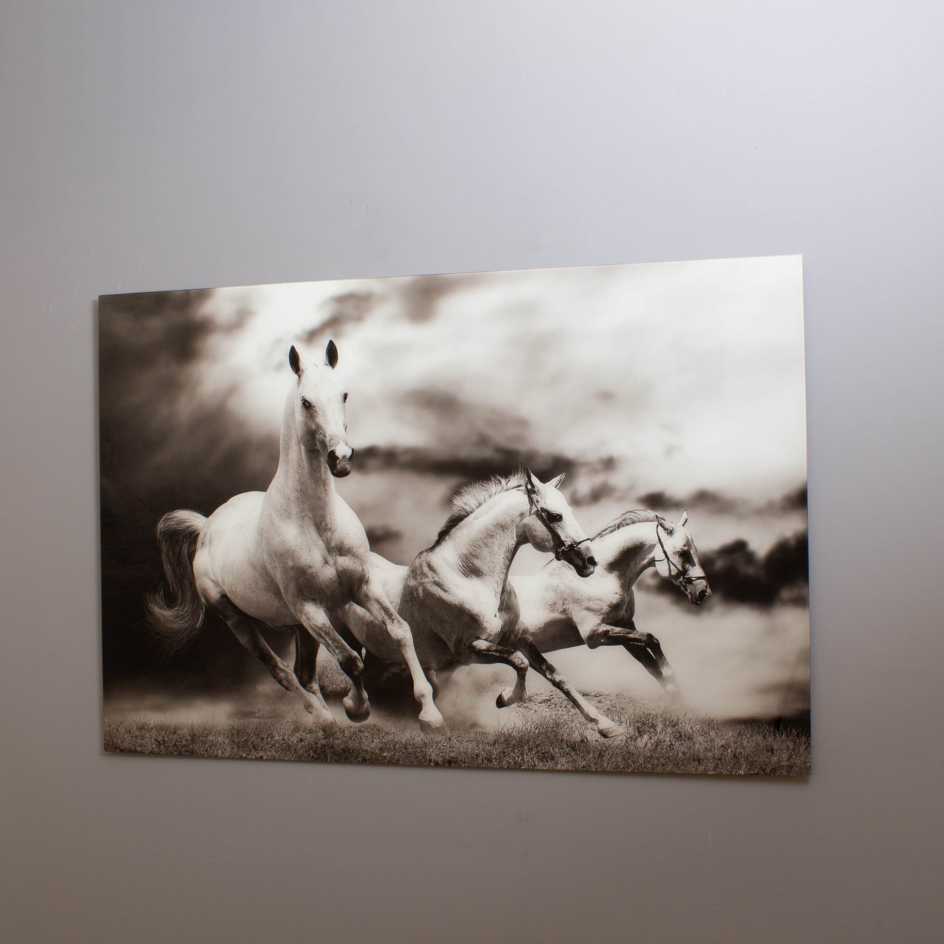 A tempered glass wall art featuring a high-resolution print of wild horses in motion.