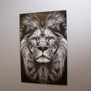 Majestic Lion Tempered Glass Wall Art