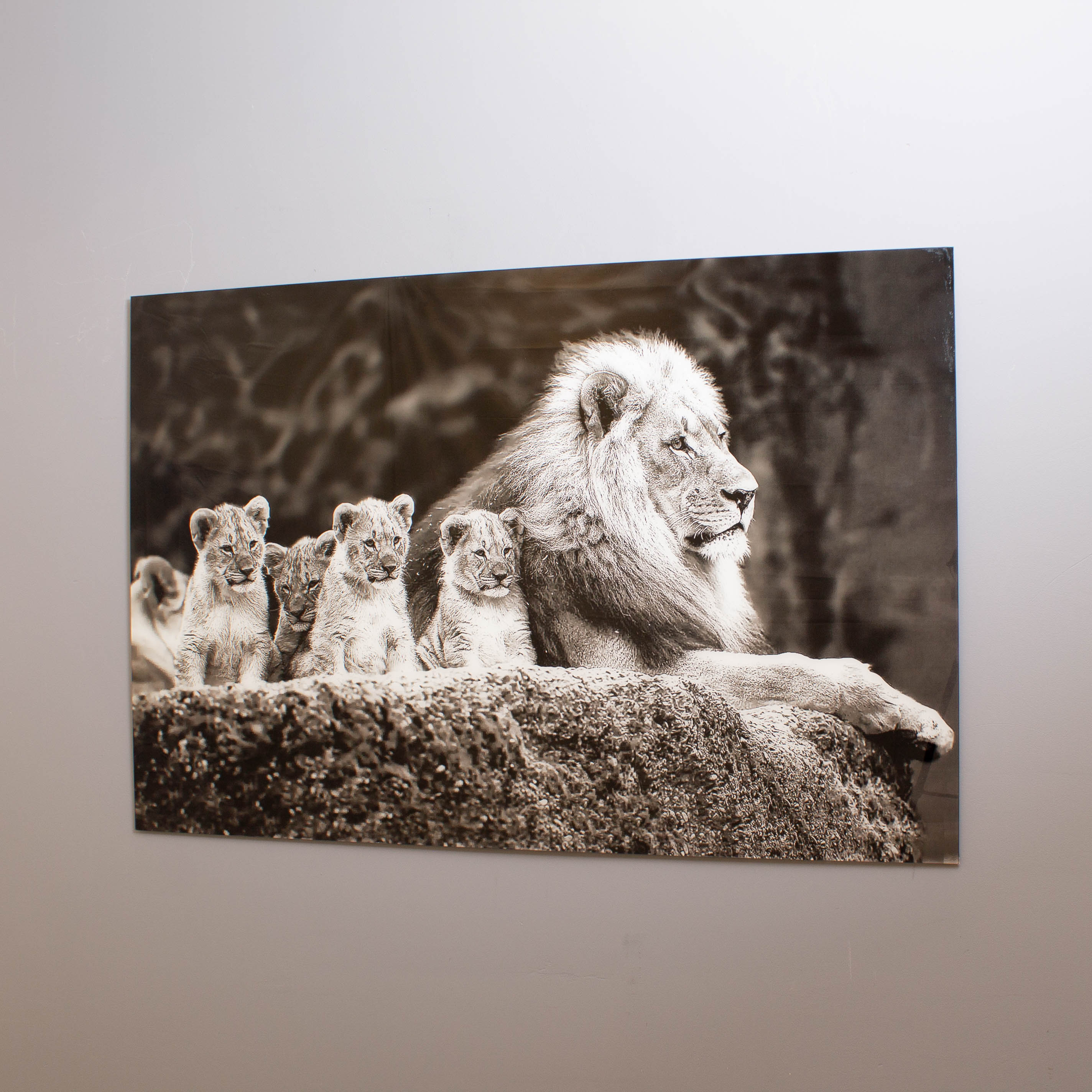 Lion Pride Tempered Glass Wall Art