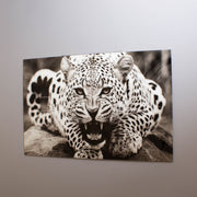 Snarling Leopard Tempered Glass Wall Art