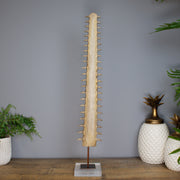 Sawfish Bill