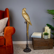 Grande Parrot On Perch