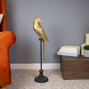 Petite Parrot On Perch