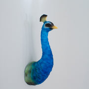 Vivid Peacock Wall Head