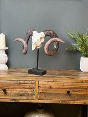 Large Ram's Skull